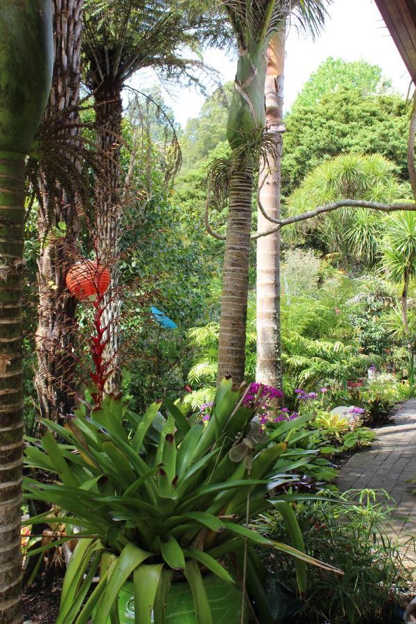 Waimoana Garden Accommodation Whangarei Eksteriør billede
